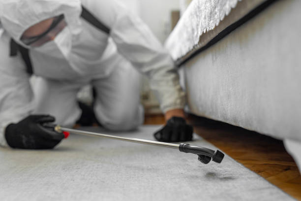 Professional Termite Control technician working in Point Clear, AL