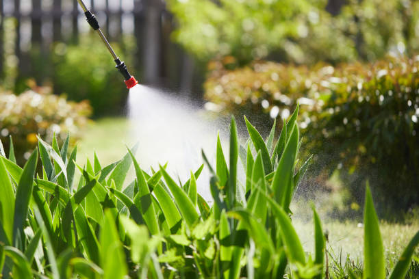 24/7 Emergency Termite Control experts in Point Clear, AL