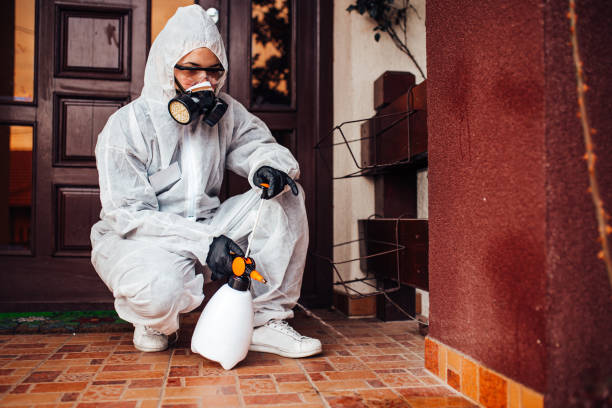 Reliable Termite Control contractor in Point Clear, AL by Nex Pest Control